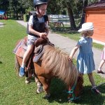 phoca_thumb_m_ponk 78 Fotogalerie